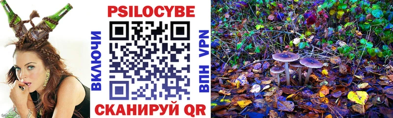 Псилоцибиновые грибы Psilocybine cubensis  Елизаветинская 